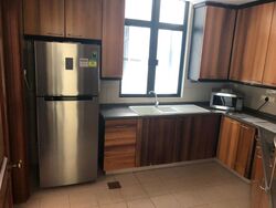 Valley Park (D10), Condominium #550504361